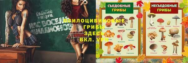 МДПВ Абинск
