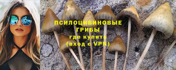 МДПВ Абинск