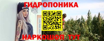 ALPHA-PVP Партизанск