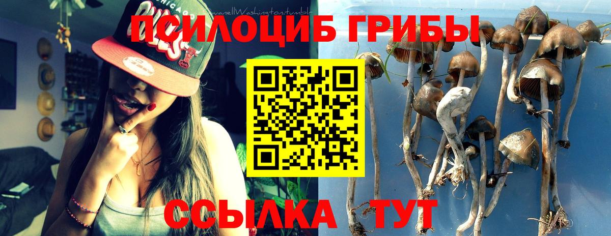 Псилоцибиновые грибы GOLDEN TEACHER  Вход с VPN  Серпухов 